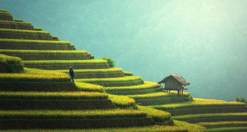 Sustainable Artworks