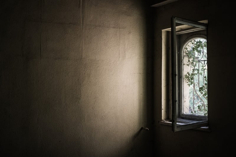Vintage Window Frames
